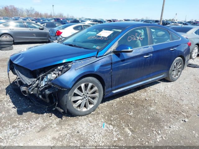 5NPE34AF5FH217630 Hyundai Sonata Sport