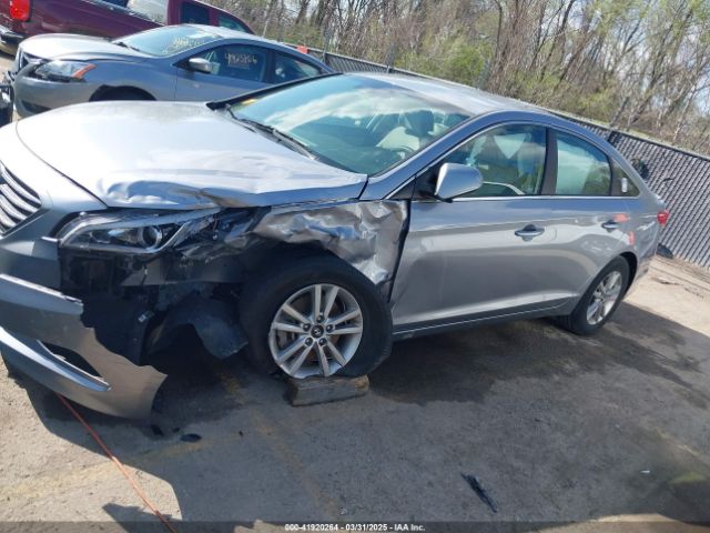 5NPE24AF9HH545428 Hyundai SONATA SE