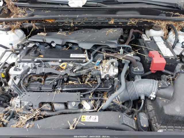 4T1R11AK3RU223693 Toyota CAMRY LE