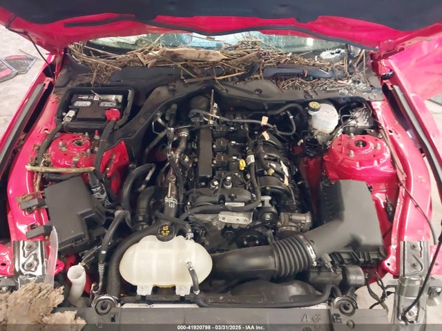 Ford Mustang Ecoboost Premium Fastback 2021 1FA6P8TH8M5150524 Image 10