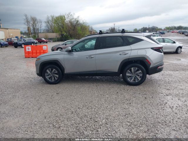 KM8JBCA13NU077934 Hyundai Tucson Hybrid Blue