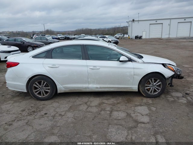 5NPE24AF8HH584981 Hyundai Sonata
