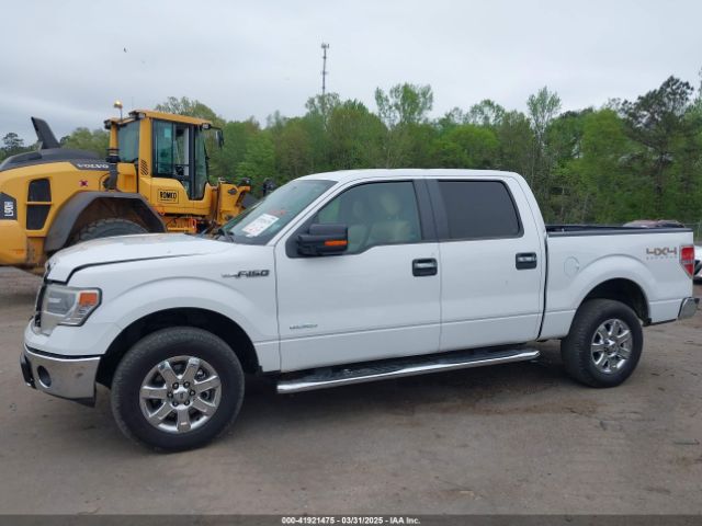 1FTFW1ET3EKE17044 Ford F-150 Xlt