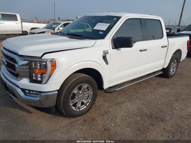 Ford F-150 Xlt 2023 1FTEW1CP1PKF44623 Image 2