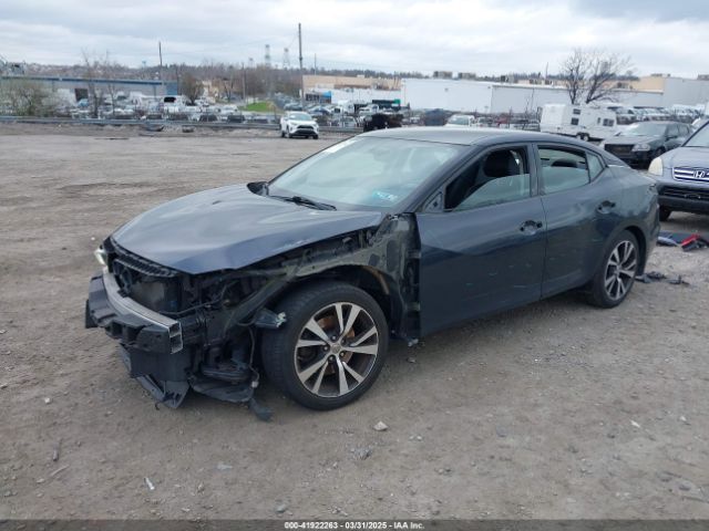 1N4AA6AP6HC433760 Nissan Maxima 3.5 Sv