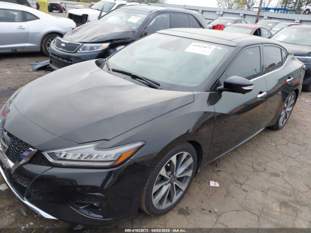 1N4AA6FV0PC509933 Nissan Maxima