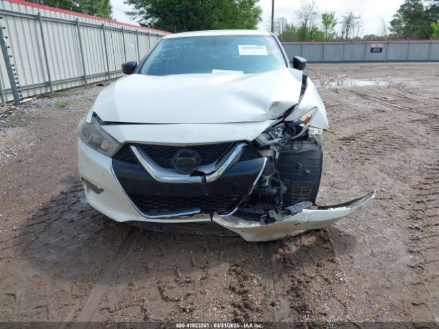 1N4AA6AP7GC429487 Nissan Maxima 3.5 Sv