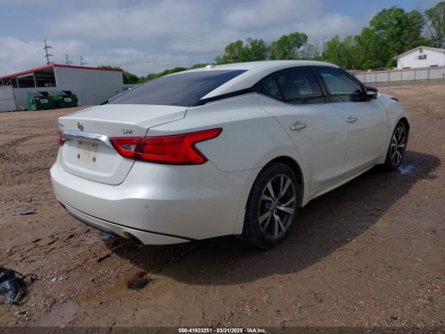 1N4AA6AP7GC429487 Nissan Maxima 3.5 Sv