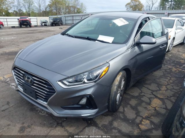 5NPE24AF7JH699173 Hyundai SONATA SE