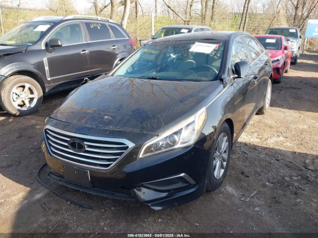 5NPE24AF1GH355900 Hyundai SONATA SE