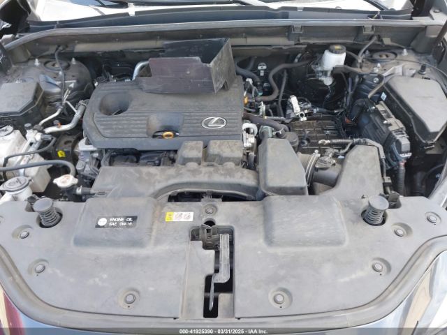 2024 LEXUS NX 250 2T2GDCAZ4RC006643 Photo 9