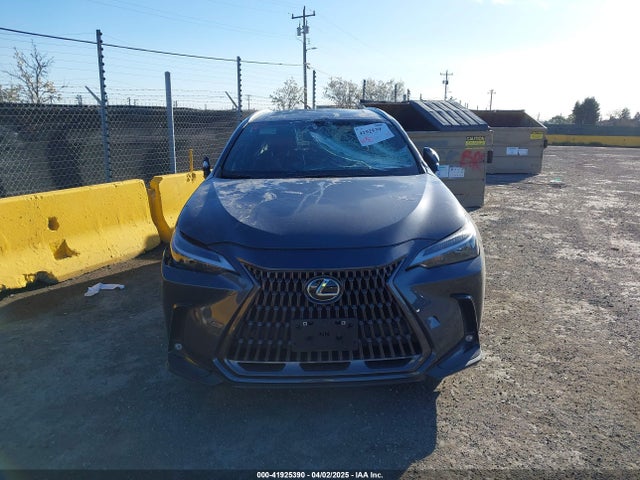 Lexus Nx 250 Premium 2024 2T2GDCAZ4RC006643 Image 11