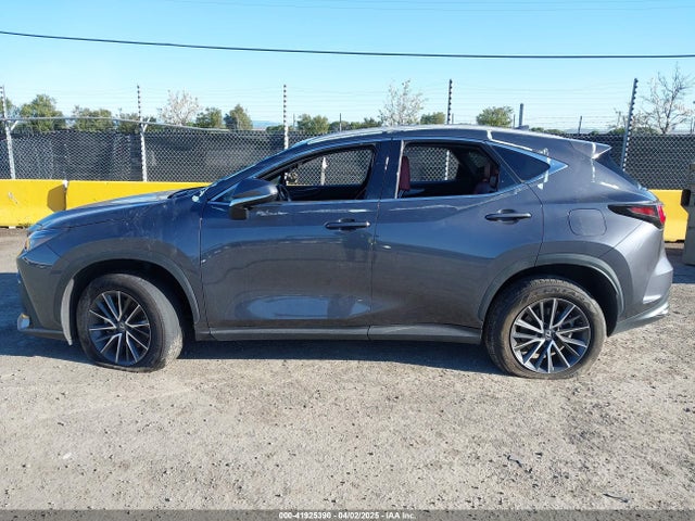 Lexus Nx 250 Premium 2024 2T2GDCAZ4RC006643 Image 13