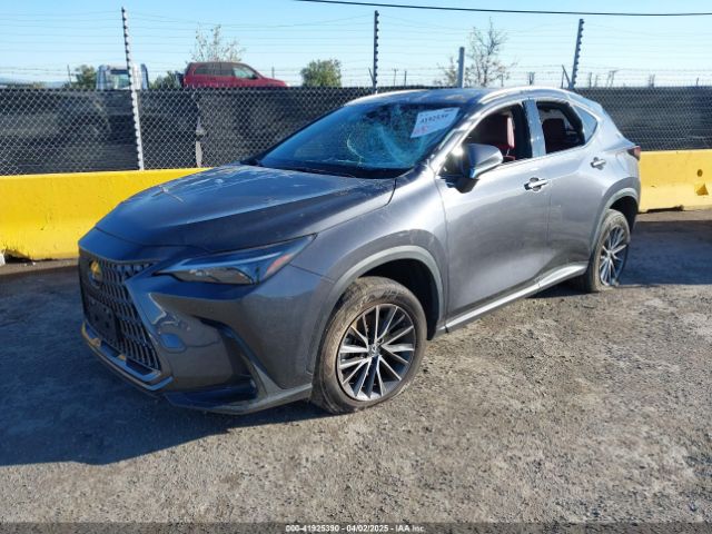 2024 LEXUS NX 250 2T2GDCAZ4RC006643 Photo 1