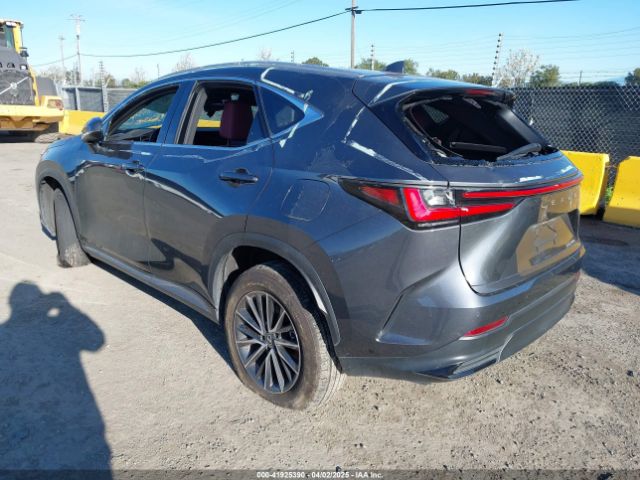 2024 LEXUS NX 250 2T2GDCAZ4RC006643 Photo 2