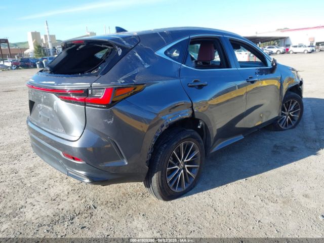 2024 LEXUS NX 250 2T2GDCAZ4RC006643 Photo 3