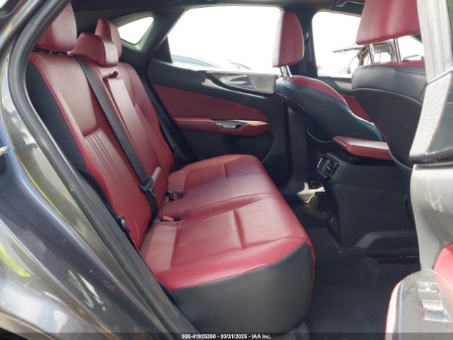 2024 LEXUS NX 250 2T2GDCAZ4RC006643 Photo 7