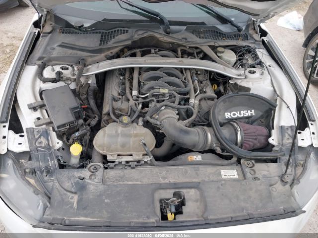 1FA6P8CF1H5202970 Ford Mustang Gt Premium