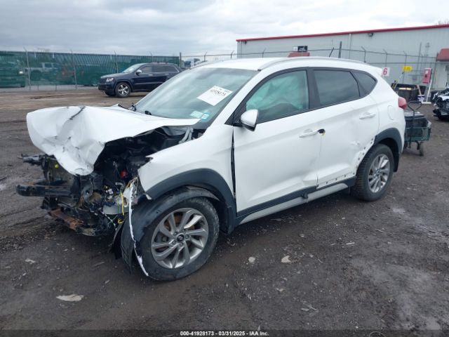 KM8J3CA26HU371869 Hyundai Tucson Eco