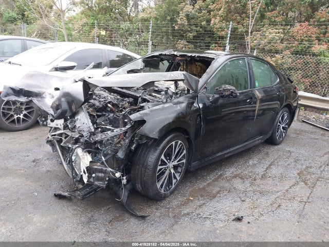 4T1B11HK8KU731736 Toyota CAMRY SE