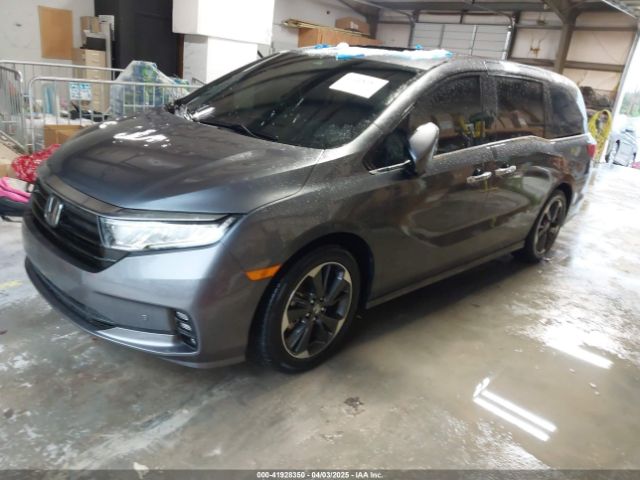 5FNRL6H97RB031524 Honda Odyssey Elite
