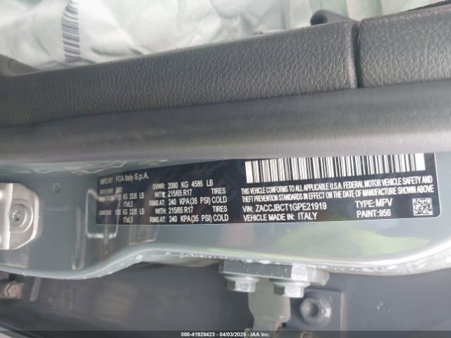 ZACCJBCT1GPE21919 Jeep Renegade Trailhawk
