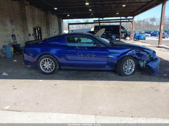 1ZVBP8CF8E5316109 Ford MUSTANG GT