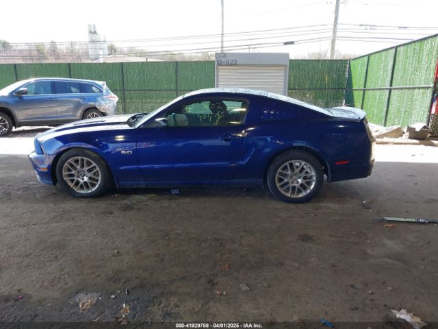 1ZVBP8CF8E5316109 Ford MUSTANG GT