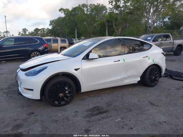 2025 TESLA MODEL Y 7SAYGDEE7SA345718 Photo 1