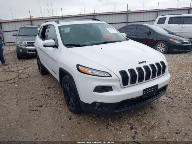 2017 JEEP CHEROKEE 1C4PJLDS1HW603511