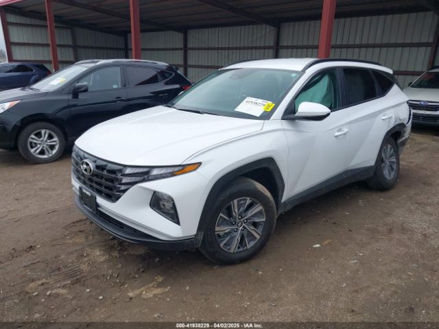 KM8JBCD12RU184474 Hyundai Tucson Hybrid Blue