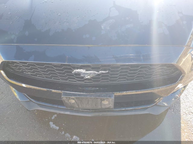 1FA6P8AM0H5272817 Ford Mustang V6