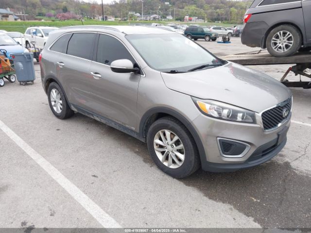 2017 KIA SORENTO 5XYPGDA51HG196662