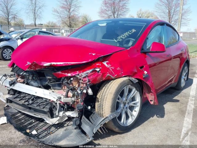 2023 TESLA MODEL Y 7SAYGDEE0PF664498 Photo 1