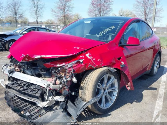 2023 TESLA MODEL Y 7SAYGDEE0PF664498 Photo 5