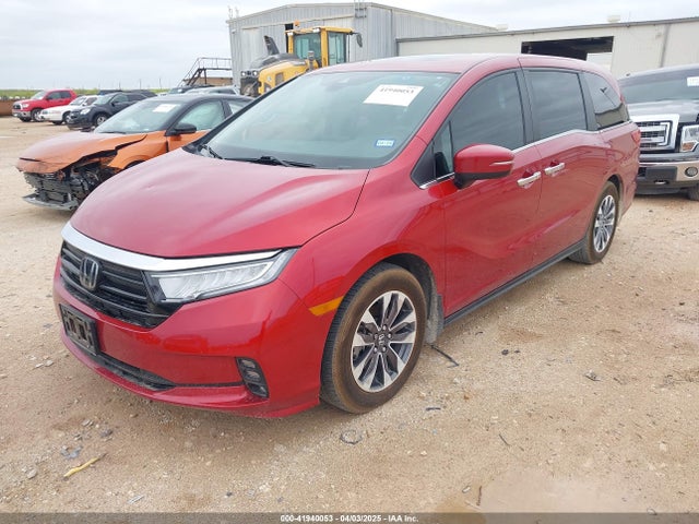 Honda Odyssey Ex-l 2023 5FNRL6H66PB047989 Image 2