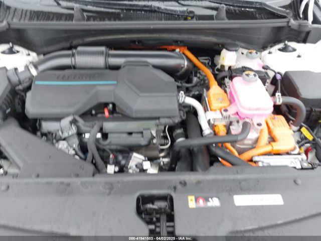 KNDPXCDG3S7176568 KIA Sportage Hybrid Sx-prestige