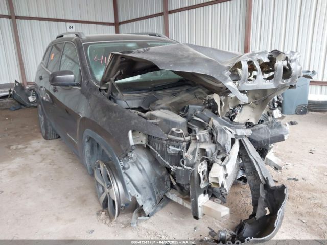 1C4PJLDBXLD587216 auction archive image