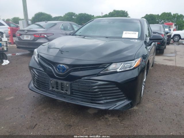 4T1C31AKXLU014202 Toyota Camry Le Hybrid