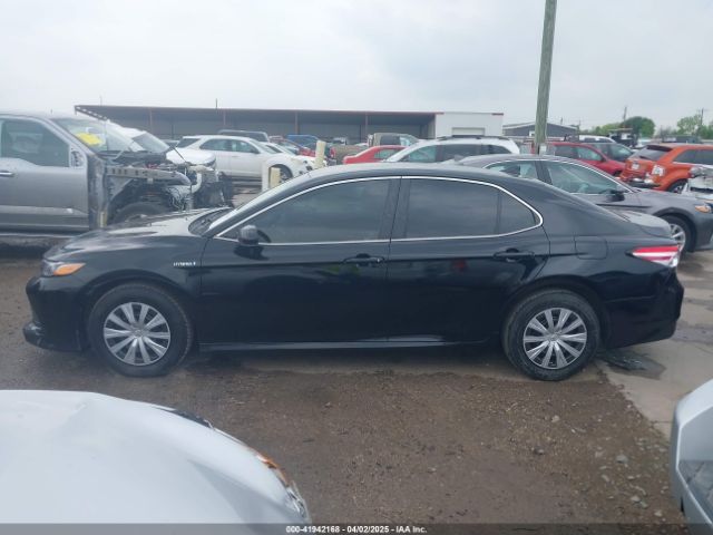4T1C31AKXLU014202 Toyota Camry Le Hybrid