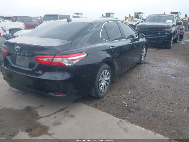4T1C31AKXLU014202 Toyota Camry Le Hybrid