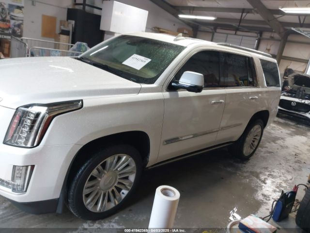 1GYS4DKJ4GR436313 Cadillac Escalade Platinum