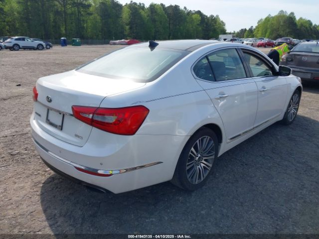 KNALN4D70E5146919 KIA Cadenza Premium