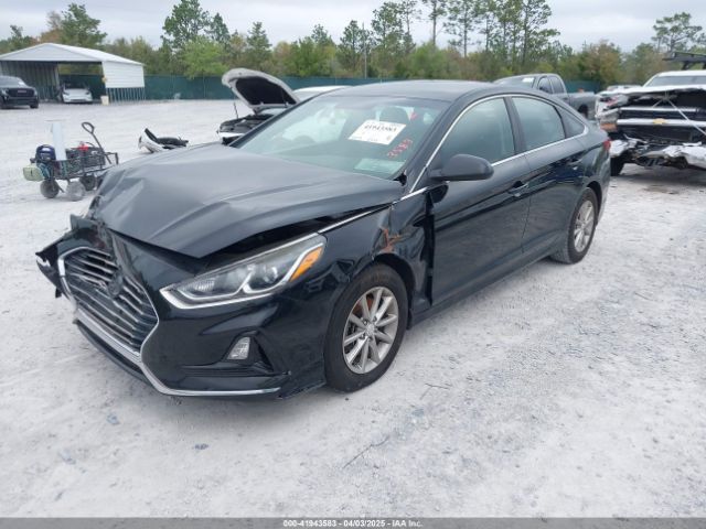 5NPE24AF7KH765951 Hyundai SONATA SE