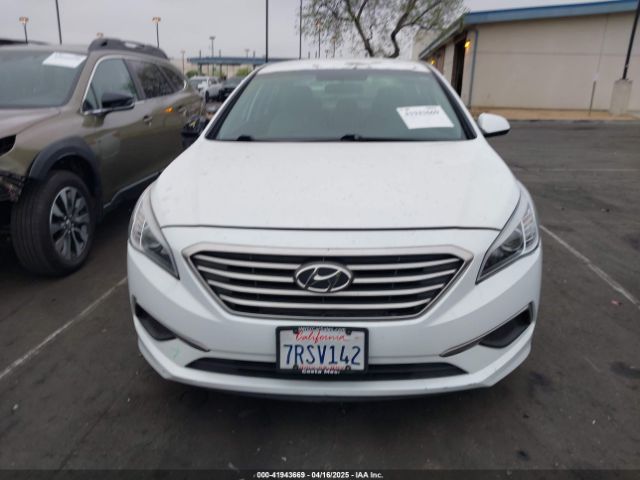 5NPE24AF5GH393453 Hyundai Sonata