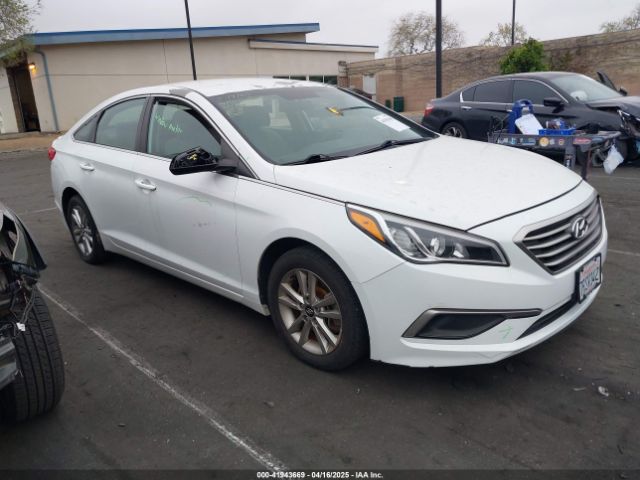 5NPE24AF5GH393453 Hyundai Sonata