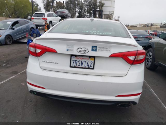 5NPE24AF5GH393453 Hyundai Sonata