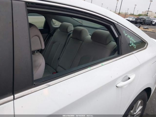 5NPE24AF5GH393453 Hyundai Sonata