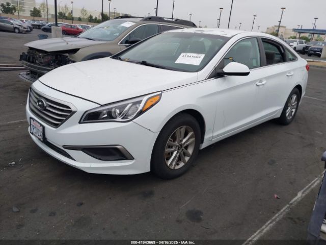 5NPE24AF5GH393453 Hyundai Sonata