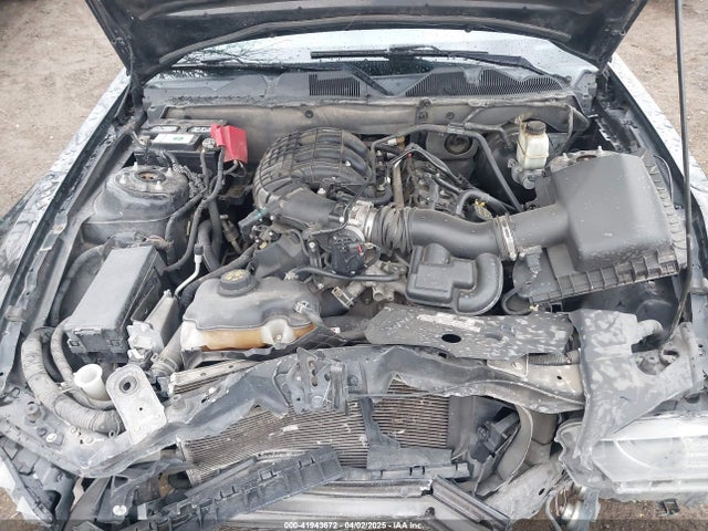 1ZVBP8AM0E5279980 Ford Mustang V6